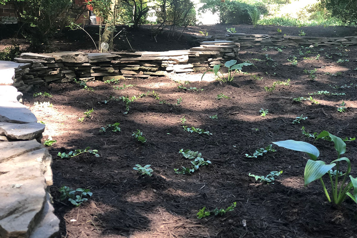 Irrigation Service in Redmond Drainage Installation Contractors